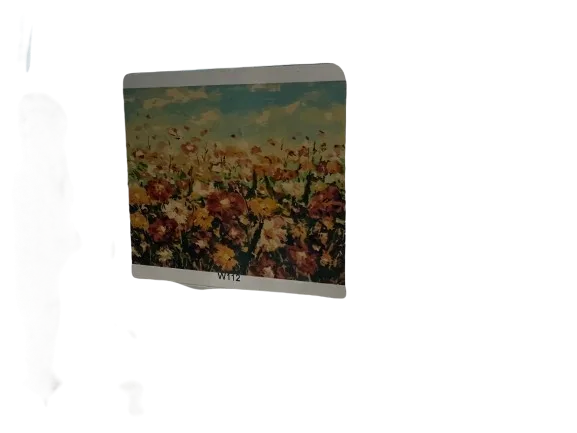 ערכה ליצירה- ציור במספרים על קנווס 50X40-שדה פרחים W112