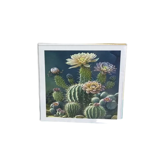 שיבוץ יהלומים על קנווס 30X40 - קקטוסים