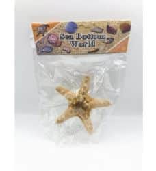 כוכב ים עבה גדול- 52