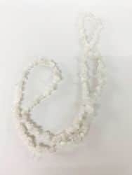 WhatsApp Image 2020-10-07 at 14.57.52