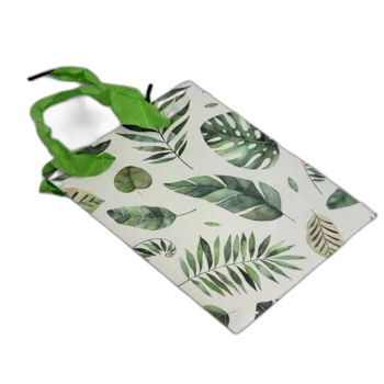 12 שקיות קטנות מונסטרה