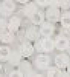 חרוזי רוקאי-לבן קרח -6