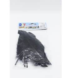 חומרים ליצירה- נוצות שחור