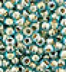 חרוזי רוקאי- טורכיז זהב-11