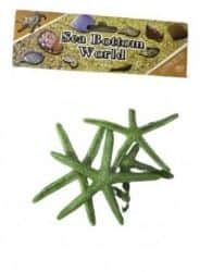 כוכבי ים כ-3 יחידות בשקית