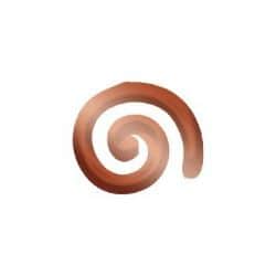 טוליפ TRIP- ברונזה