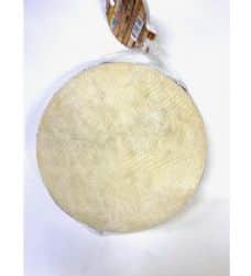 תוף מרים קוטר 20