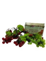 קישוטים לסוכה- שרשרת אשקולות ענבים מאירים- חדשש